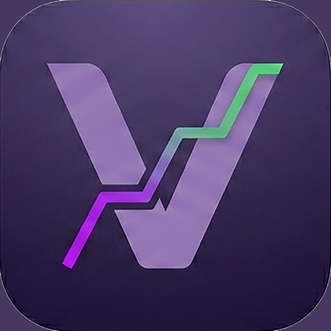 VaultWise icon